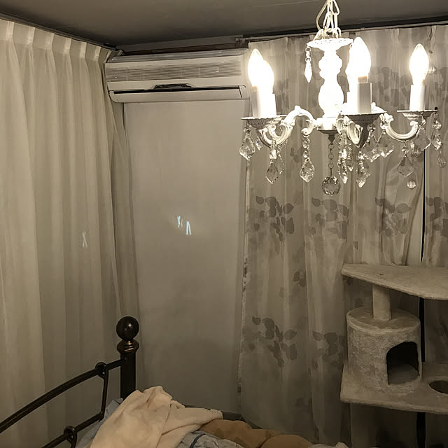Shihoさんの実例写真