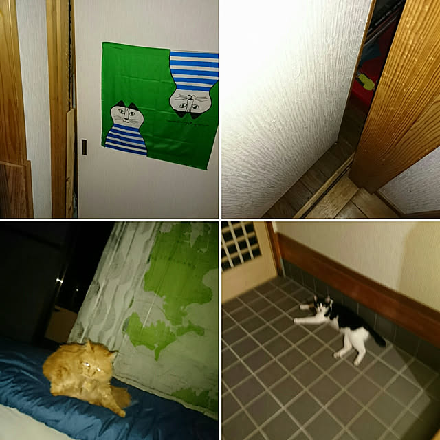 uchizukonyanさんの実例写真