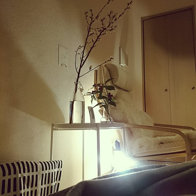 w_fox0713さんの実例写真