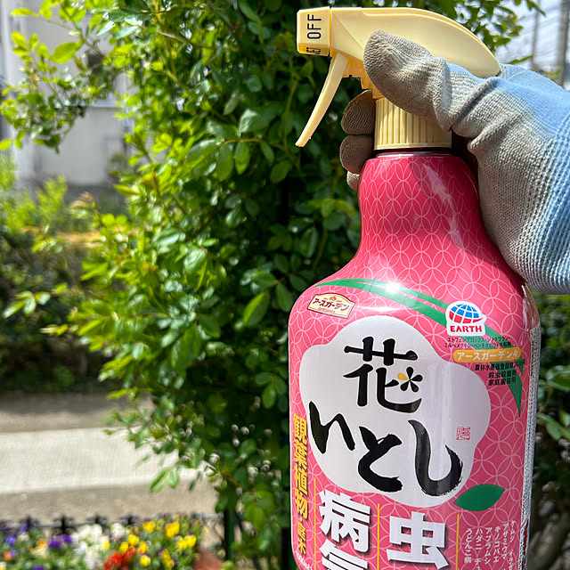 shabby666さんの部屋