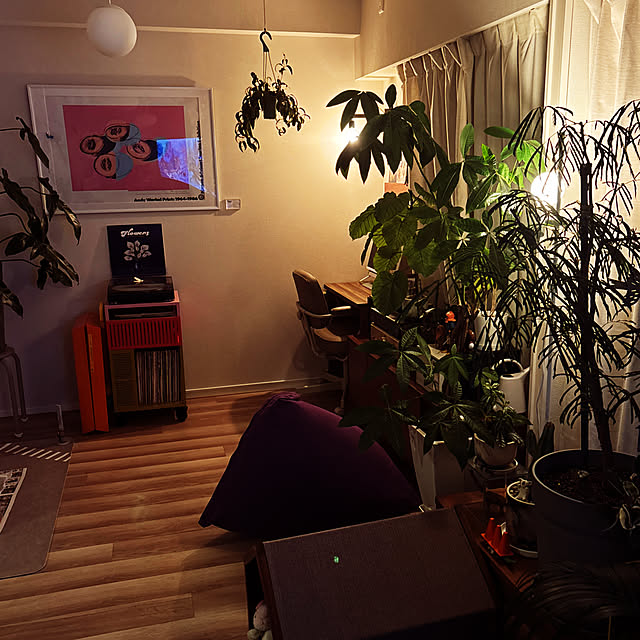 tabiさんの実例写真