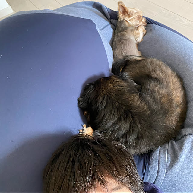 ohanaさんの実例写真