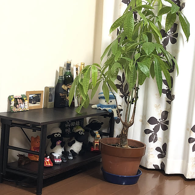 HANNAさんの実例写真