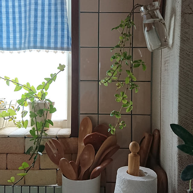 naopyiさんの実例写真