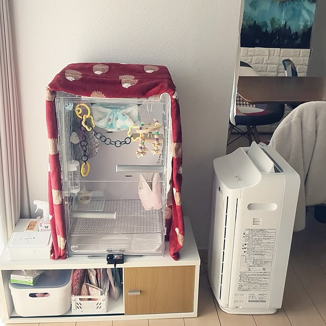 Annaさんの実例写真