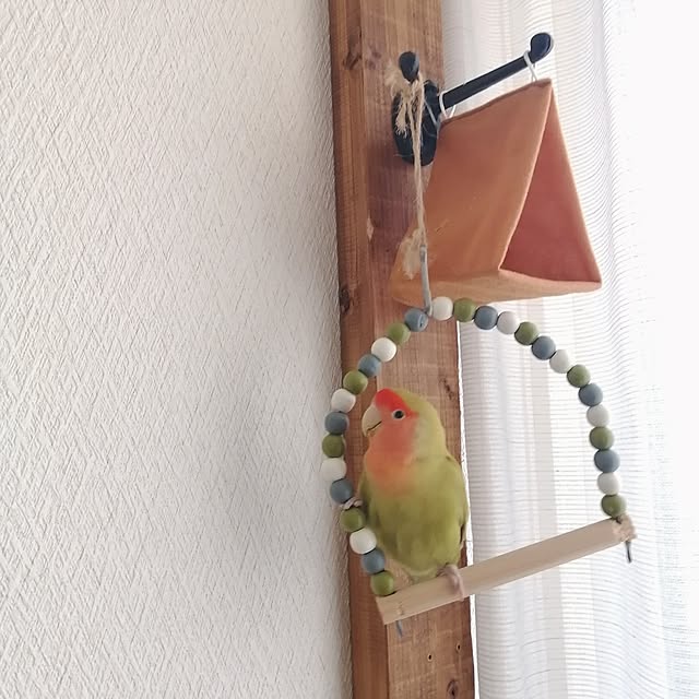 so-bokuさんの部屋