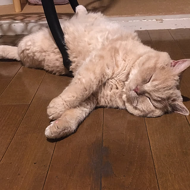 naokoさんの部屋