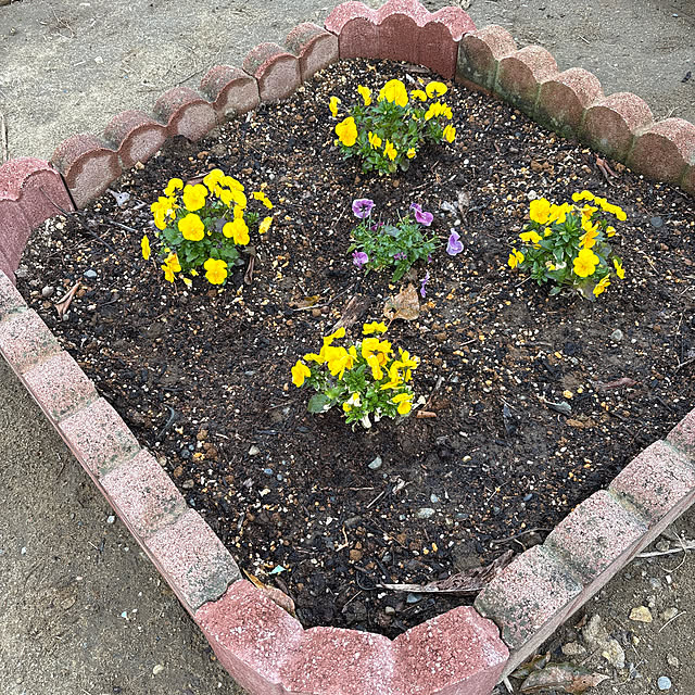 akkeyさんの実例写真