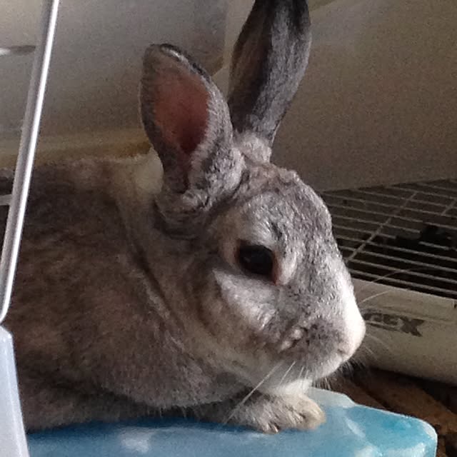mekoさんの実例写真