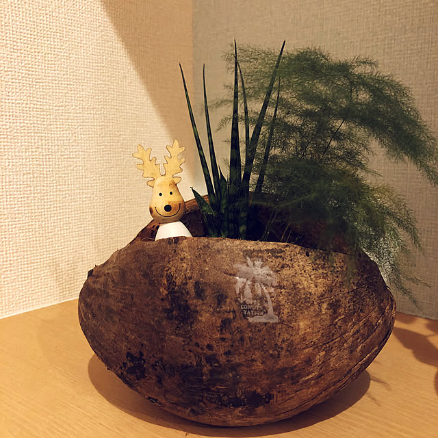 ajysさんの実例写真