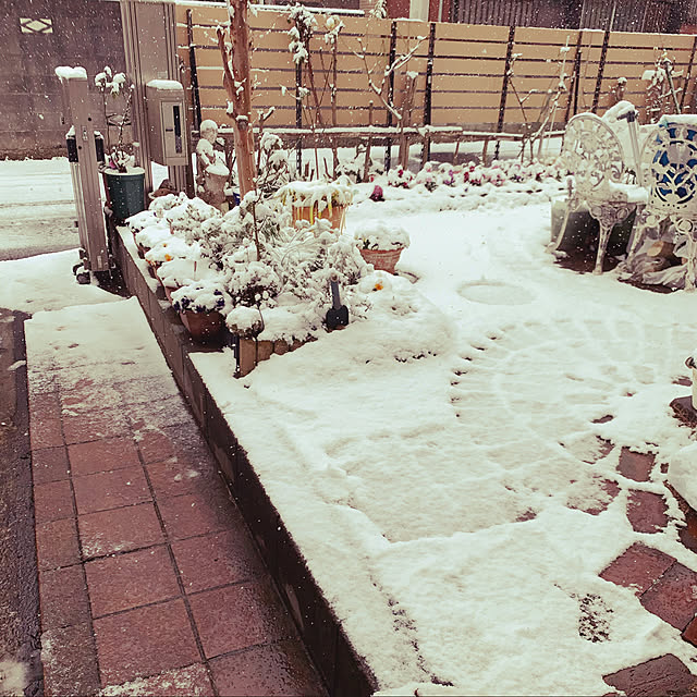 KYONさんの実例写真