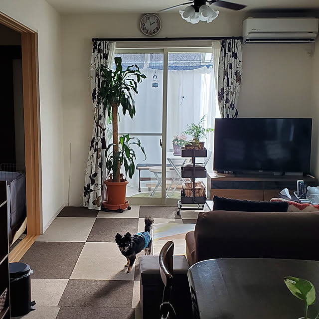 korokoroさんの実例写真