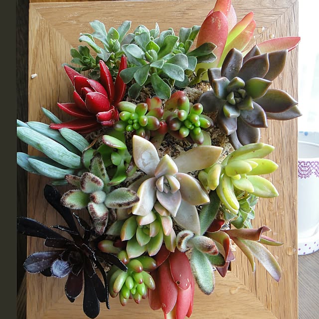 gardengardenさんの実例写真