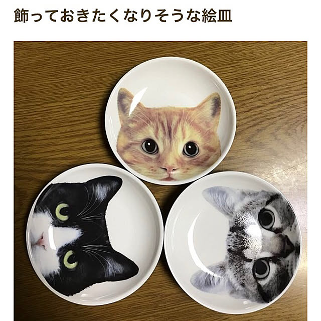 powakyonさんの実例写真
