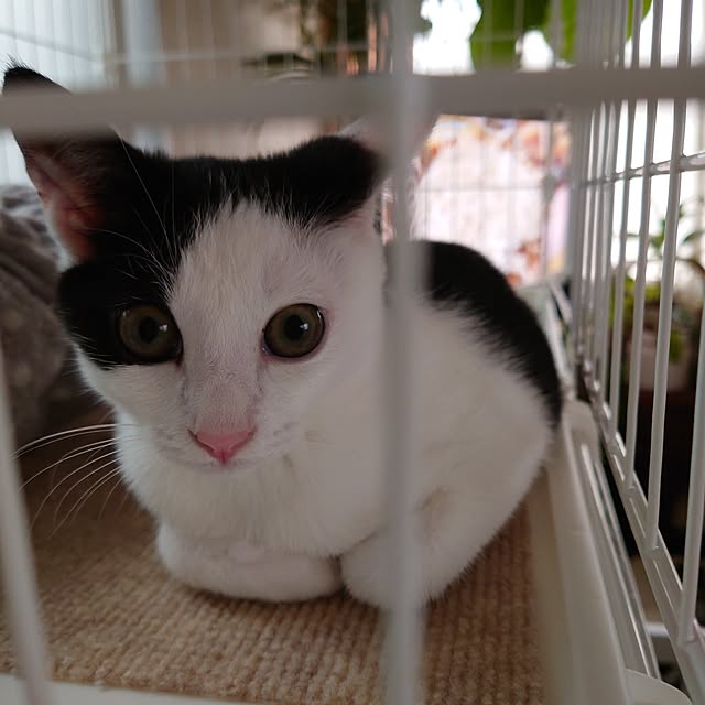 miho.okuさんの部屋
