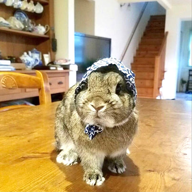 nmomoさんの実例写真