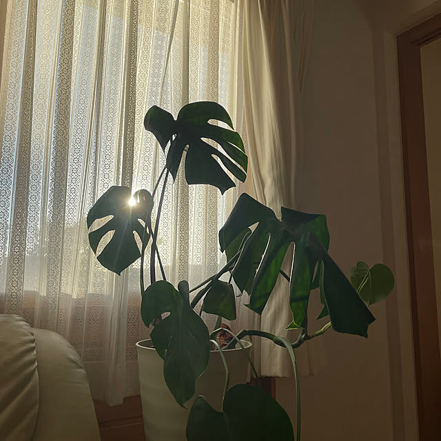 3ho5さんの実例写真
