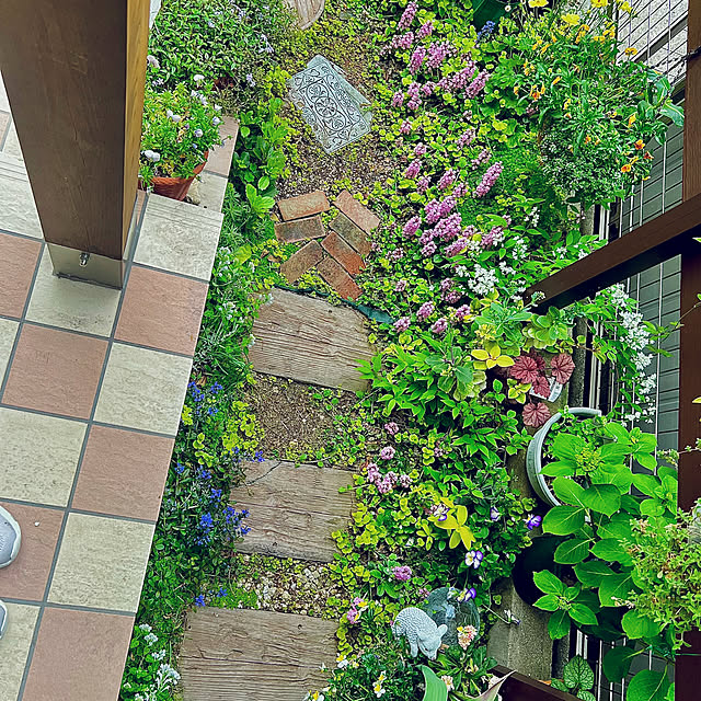 hinamamaさんの部屋