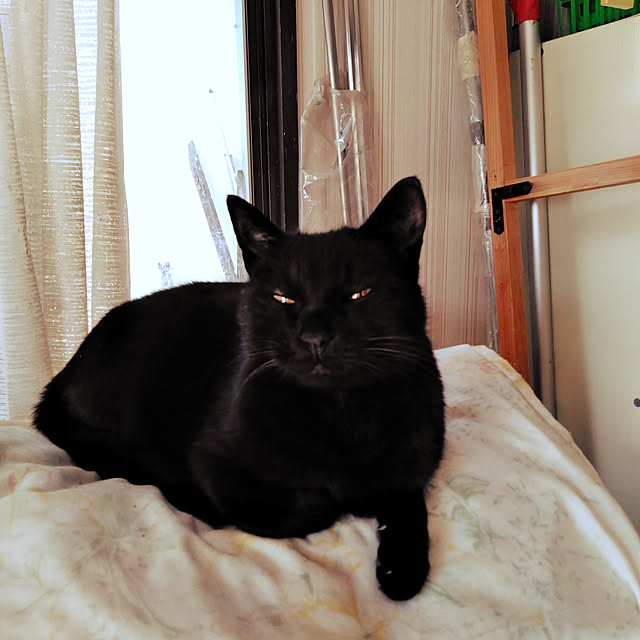 hiroさんの実例写真