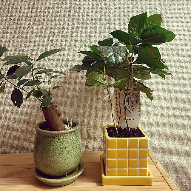 Komugiさんの実例写真