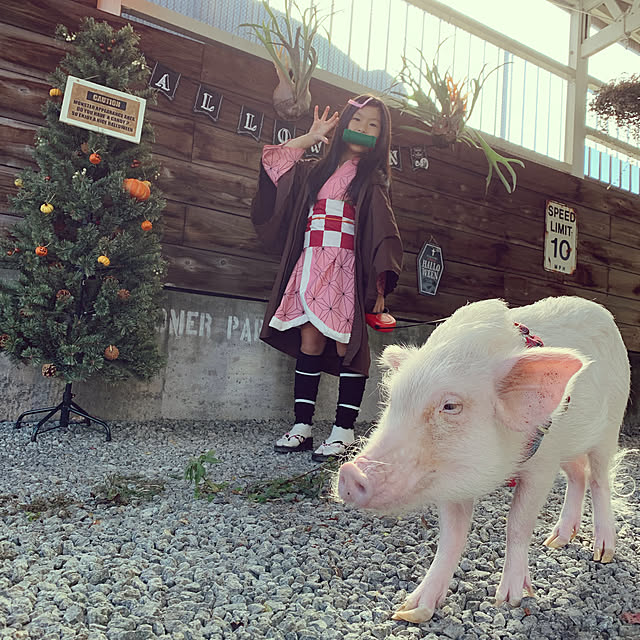 UGさんの実例写真