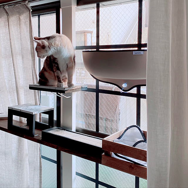 momijiさんの実例写真