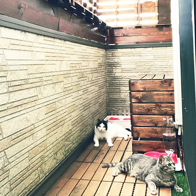 mizukiさんの実例写真