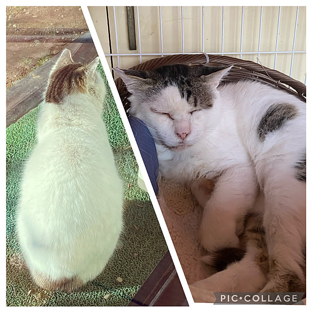 moainanoさんの実例写真