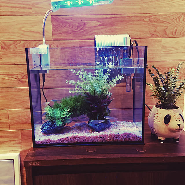 zicoさんの実例写真