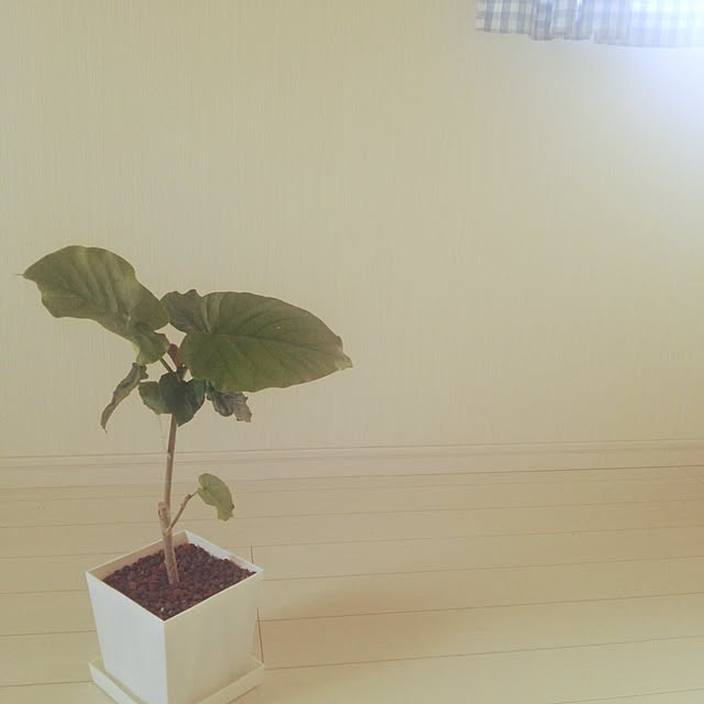 yun0603さんの実例写真