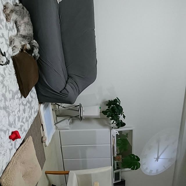 vivianさんの実例写真