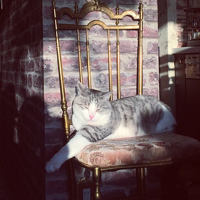 emmyyさんの実例写真