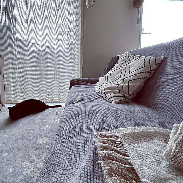 nekomiさんの実例写真