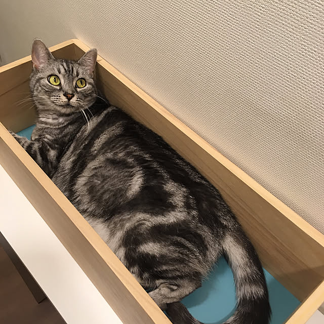 mikomaruさんの実例写真