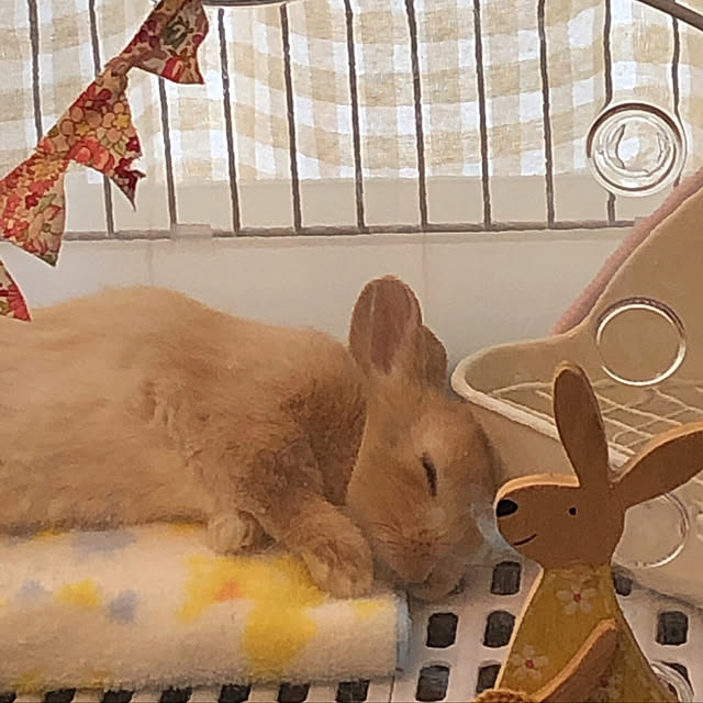 pikarunさんの実例写真