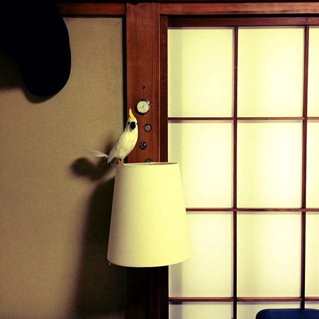 Yuichiさんの実例写真