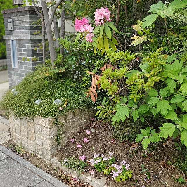 MARIE.color.interiorさんの部屋
