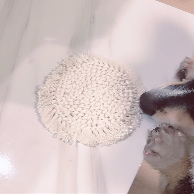 Ruiさんの実例写真