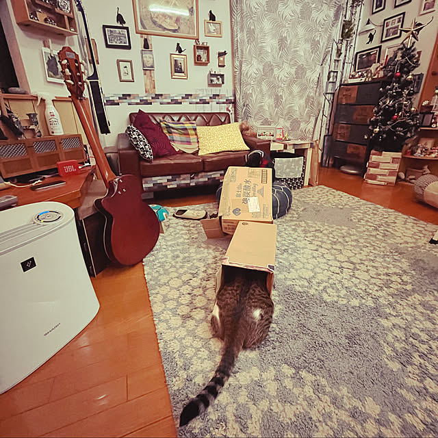 jijiさんの実例写真
