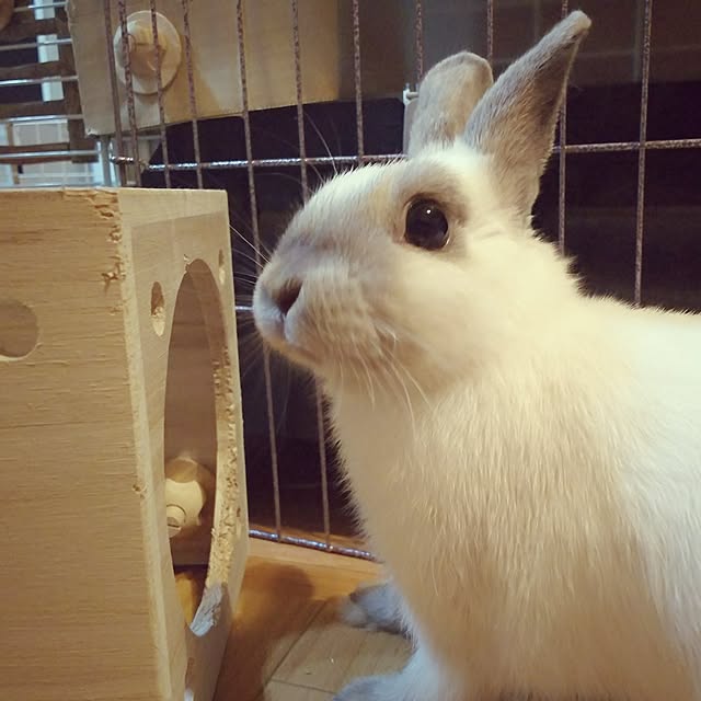 makiさんの実例写真