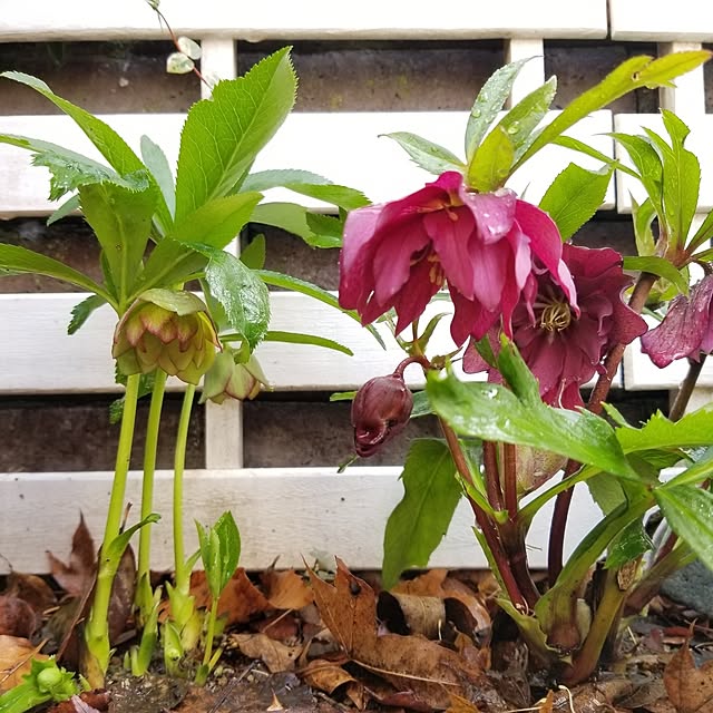 midoriさんの部屋