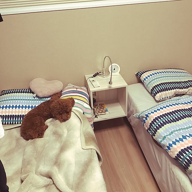 lag_1001さんの実例写真