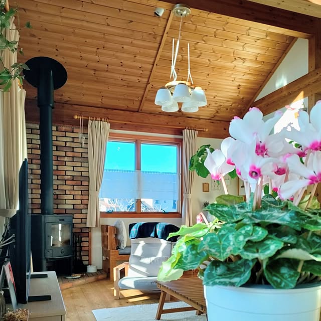 ai.happyplaceさんの実例写真