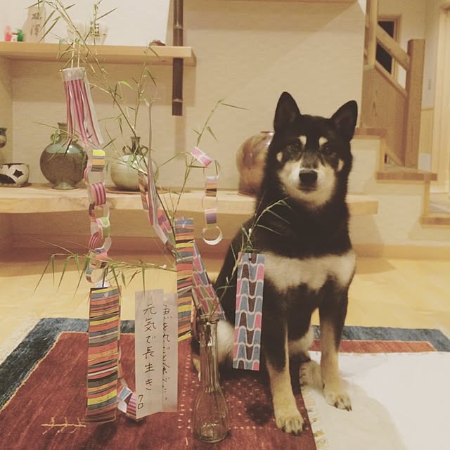 Mixさんの実例写真