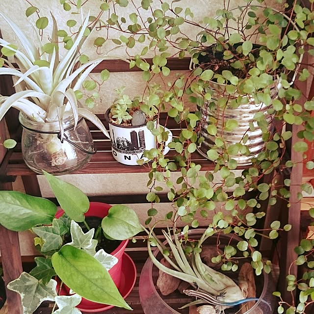 mariさんの実例写真