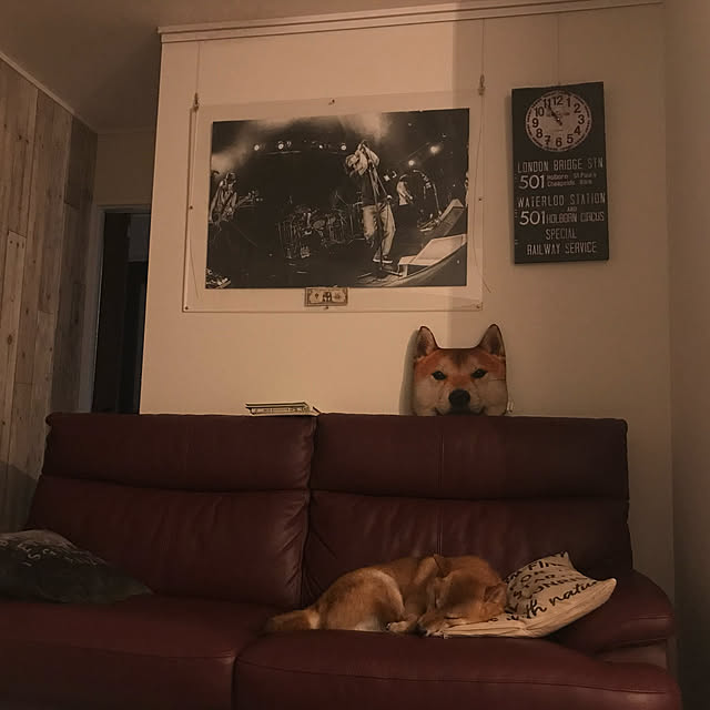 実例写真