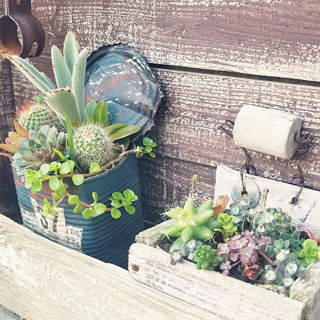 机/JUNK/ガーデン雑貨/さびさび/植物...などのインテリア実例 - 2018-04-23 08:15:53