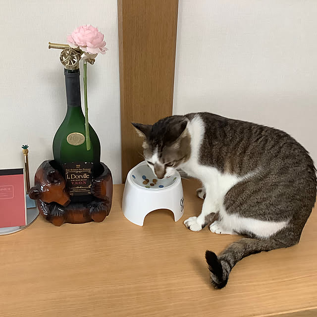 haruminさんの部屋