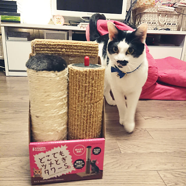 asuminさんの実例写真
