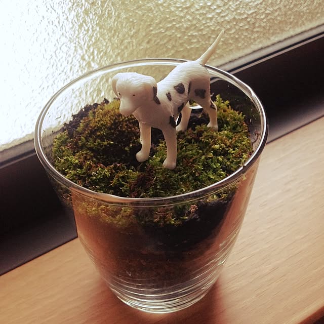tarohagiharaさんの実例写真